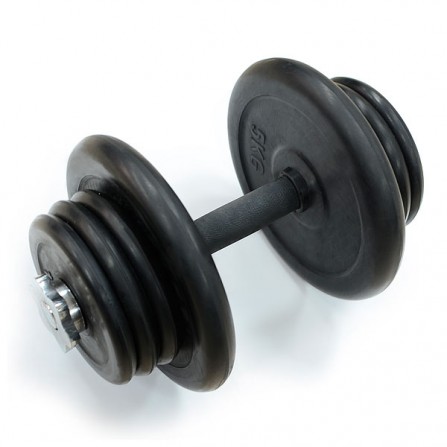 Гантель наборная 20 кг. FitLogic DB6031-20
